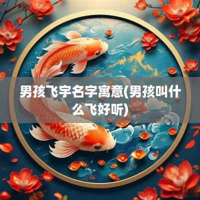 男孩飞宇名字寓意(男孩叫什么飞好听)