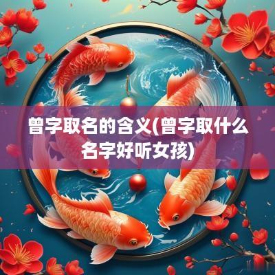 曾字取名的含义(曾字取什么名字好听女孩)