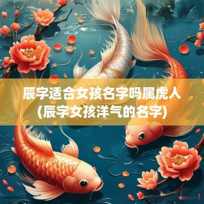 辰字适合女孩名字吗属虎人(辰字女孩洋气的名字)