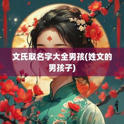 文氏取名字大全男孩(姓文的男孩子)