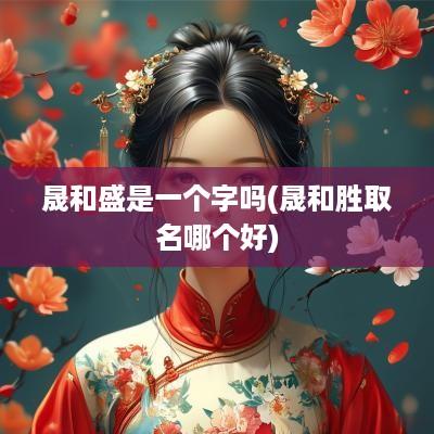 晟和盛是一个字吗(晟和胜取名哪个好)
