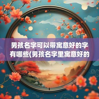 男孩名字可以带寓意好的字有哪些(男孩名字里寓意好的字)