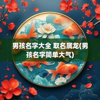 男孩名字大全 取名属龙(男孩名字简单大气)
