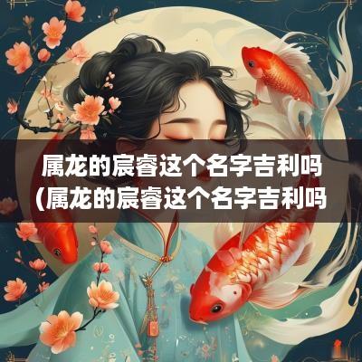 属龙的宸睿这个名字吉利吗(属龙的宸睿这个名字吉利吗女孩)