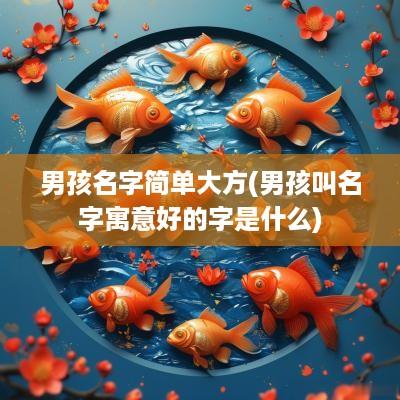 男孩名字简单大方(男孩叫名字寓意好的字是什么)