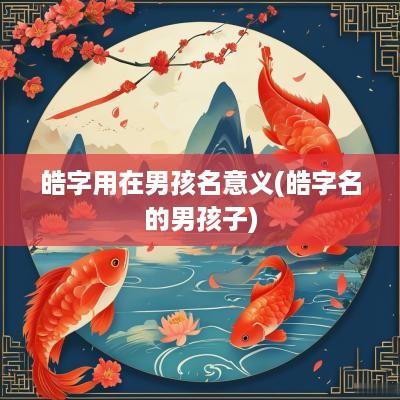 皓字用在男孩名意义(皓字名的男孩子)