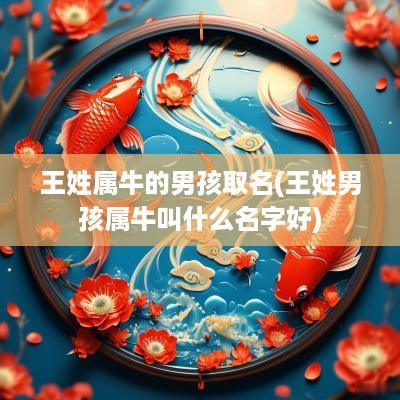 王姓属牛的男孩取名(王姓男孩属牛叫什么名字好)