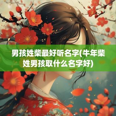 男孩姓柴最好听名字(蛇年柴姓男孩取什么名字好)