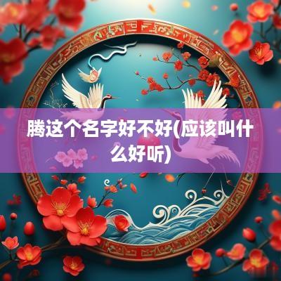 腾这个名字好不好(应该叫什么好听)