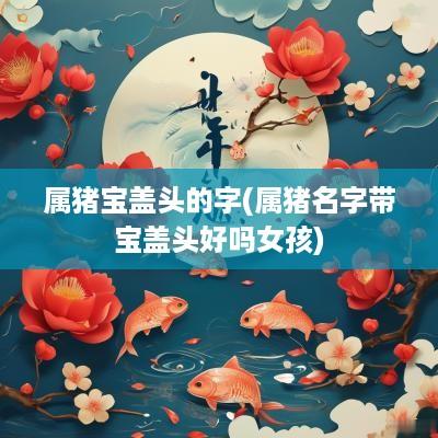 属猪宝盖头的字(属猪名字带宝盖头好吗女孩)