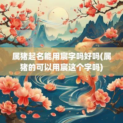 属猪起名能用宸字吗好吗(属猪的可以用宸这个字吗)