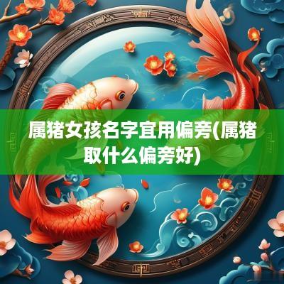 属猪女孩名字宜用偏旁(属猪取什么偏旁好)