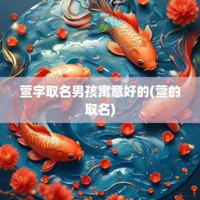 萱字取名男孩寓意好的(萱的取名)