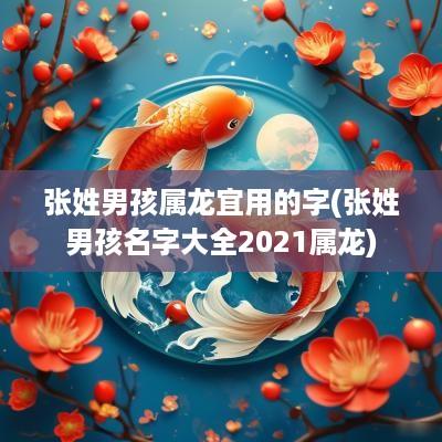 张姓男孩属龙宜用的字(张姓男孩名字大全2025属龙)