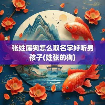 张姓属狗怎么取名字好听男孩子(姓张的狗)