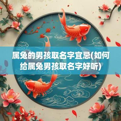 属兔的男孩取名字宜忌(如何给属兔男孩取名字好听)