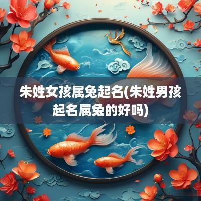 朱姓女孩属兔起名(朱姓男孩起名属兔的好吗)