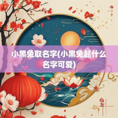 小黑兔取名字(小黑兔起什么名字可爱)