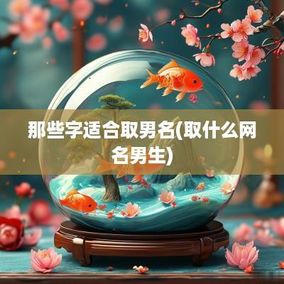 那些字适合取男名(取什么网名男生)