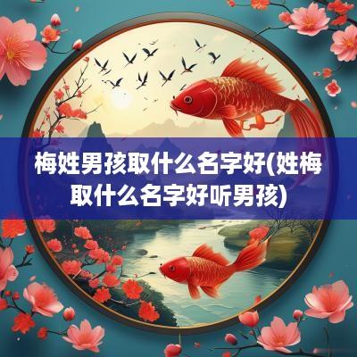 梅姓男孩取什么名字好(姓梅取什么名字好听男孩)