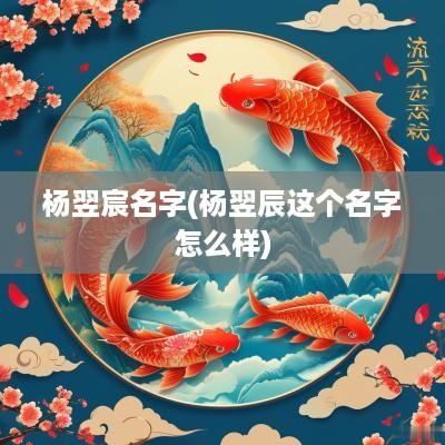 杨翌宸名字(杨翌辰这个名字怎么样)