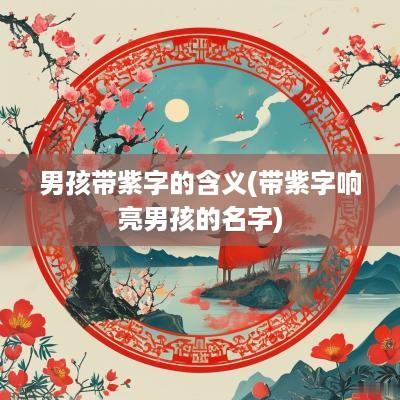 男孩带紫字的含义(带紫字响亮男孩的名字)