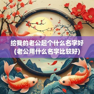 给我的老公起个什么名字好(老公用什么名字比较好)