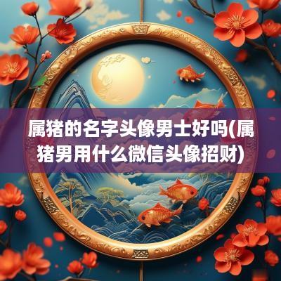 属猪的名字头像男士好吗(属猪男用什么微信头像招财)
