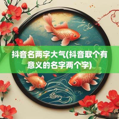 抖音名两字大气(抖音取个有意义的名字两个字)