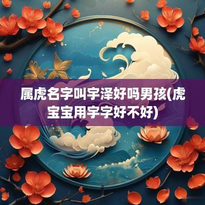 属虎名字叫宇泽好吗男孩(虎宝宝用宇字好不好)