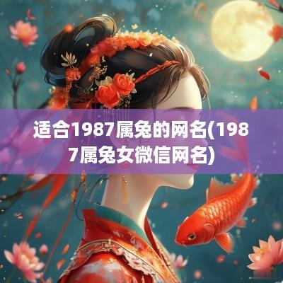 适合1987属兔的网名(1987属兔女微信网名)
