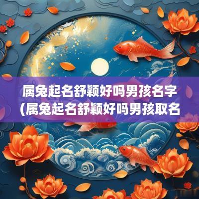 属兔起名舒颖好吗男孩名字(属兔起名舒颖好吗男孩取名)