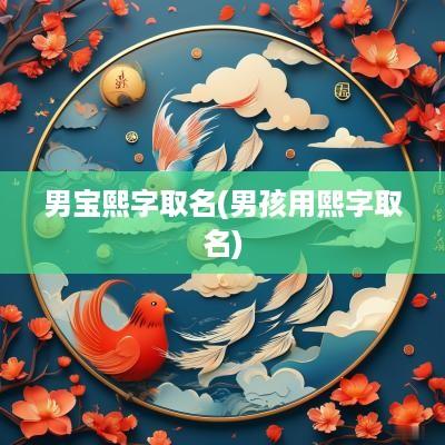 男宝熙字取名(男孩用熙字取名)