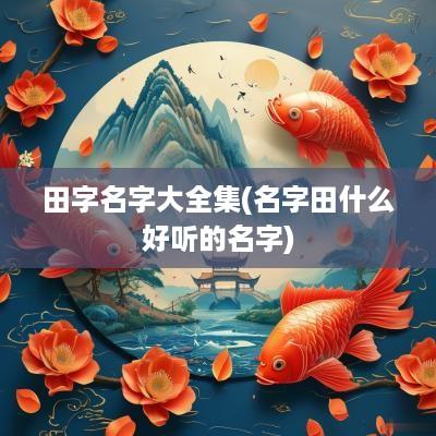 田字名字大全集(名字田什么好听的名字)