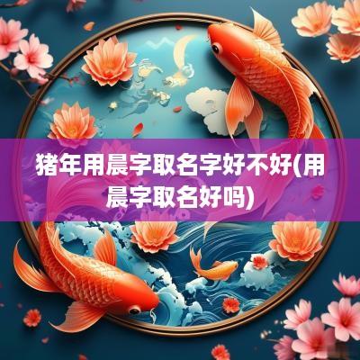 猪年用晨字取名字好不好(用晨字取名好吗)