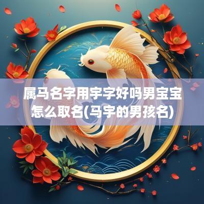 属马名字用宇字好吗男宝宝怎么取名(马宇的男孩名)