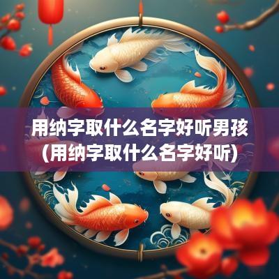 用纳字取什么名字好听男孩(用纳字取什么名字好听)