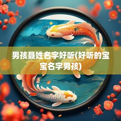 男孩聂姓名字好听(好听的宝宝名字男孩)