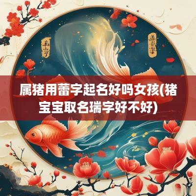 属猪用蕾字起名好吗女孩(猪宝宝取名瑞字好不好)