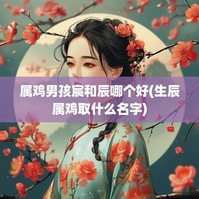 属鸡男孩宸和辰哪个好(生辰属鸡取什么名字)