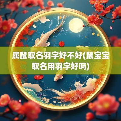 属鼠取名羽字好不好(鼠宝宝取名用羽字好吗)