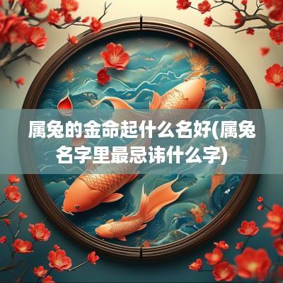属兔的金命起什么名好(属兔名字里最忌讳什么字)
