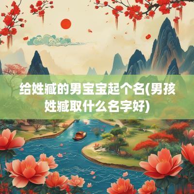 给姓臧的男宝宝起个名(男孩姓臧取什么名字好)