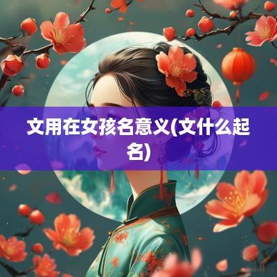 文用在女孩名意义(文什么起名)