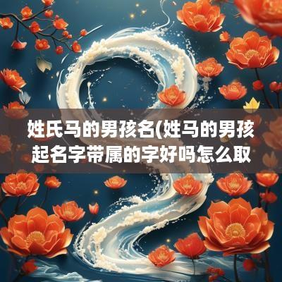姓氏马的男孩名(姓马的男孩起名字带属的字好吗怎么取)