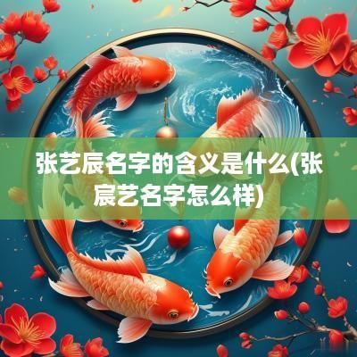 张艺辰名字的含义是什么(张宸艺名字怎么样)
