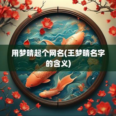 用梦晴起个网名(王梦晴名字的含义)