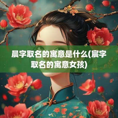 晨字取名的寓意是什么(宸字取名的寓意女孩)