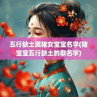 五行缺土属猪女宝宝名字(猪宝宝五行缺土的取名字)