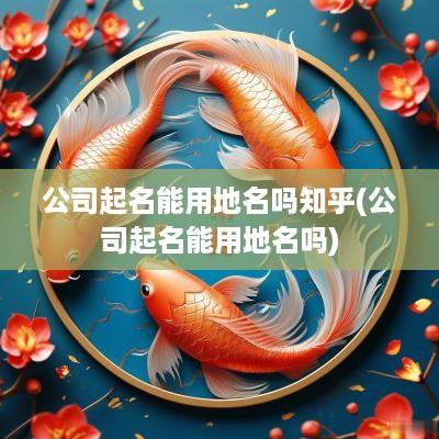 公司起名能用地名吗知乎(公司起名能用地名吗)